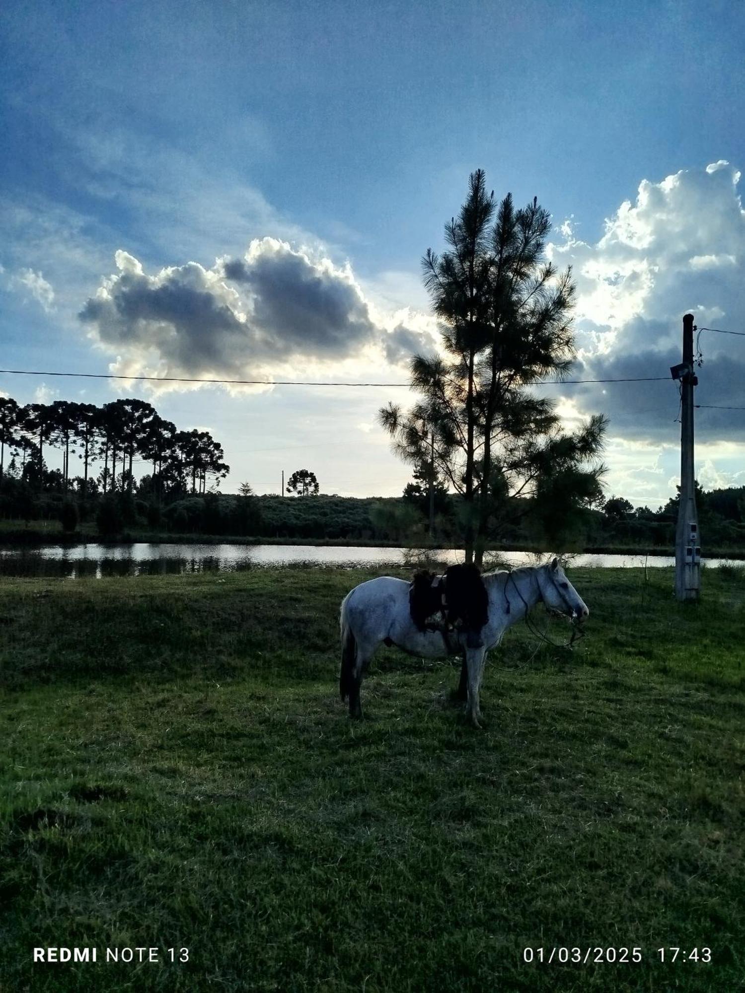 Encanto Das Araucarias Cambara do Sul Exterior photo